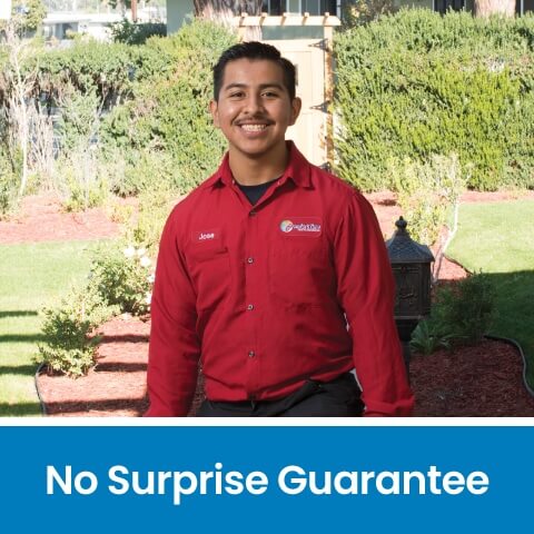 No Surprise Guarantee