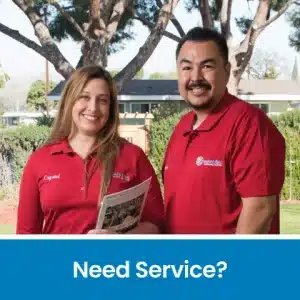 Need Service