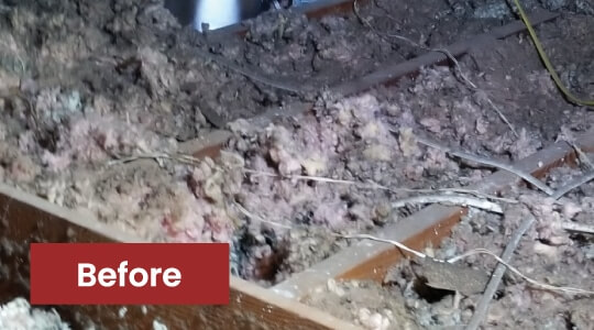 Attic Insulation Before