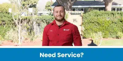 kevin need service